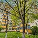Doamna Ghica apartament 3 camere acces direct Parc Plumbuita, renovat